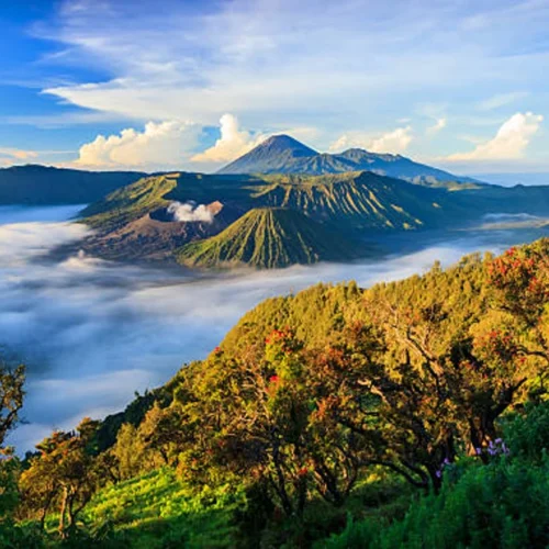 java-island-cover
